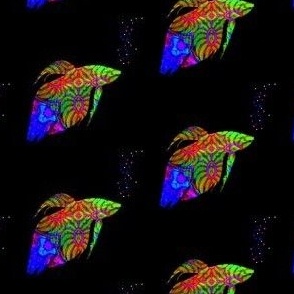 Neon Fish School:  Phylum Chordata Neon Rainbow