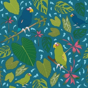 Parrots in the jungle big scale dark