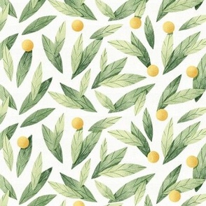 Green Leaves and Oranges