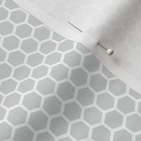 Grey Hexagon