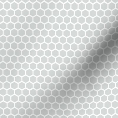 Grey Hexagon