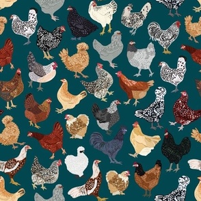 The Chicken Coop in Teal