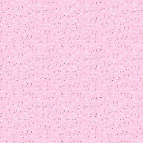 dandelion puff on pink
