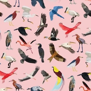 Birds in Flight in Pink