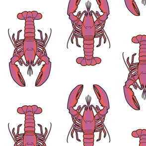 Pink Lobsters on White
