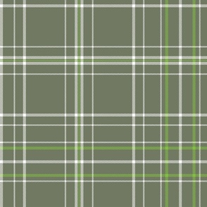 plaid option 1a in moss green_ white and lime green 200