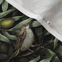 Small-Scale Olive Branches & Warblers