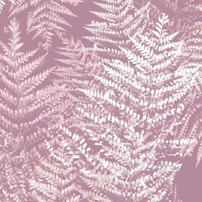 jumbo-Shadows_of_fern-variation 2-mauve