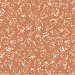 Strawberry delight_Caramel plain-Medium-Hufton Studio