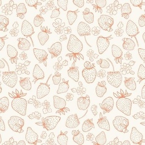 Strawberry delight_Shell coral and cream plain-Medium-Hufton Studio