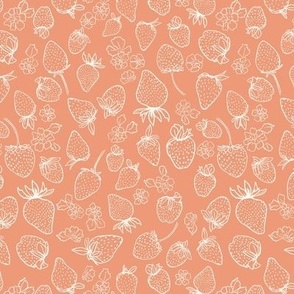 Strawberry delight_Shell coral plain-Medium-Hufton Studio