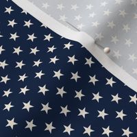 Smaller Americana Navy Stars