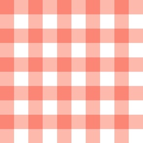 Peach Gingham Large Scale
