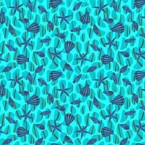 Turquoise seashells