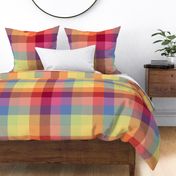 Classic Rainbow Check Gingham