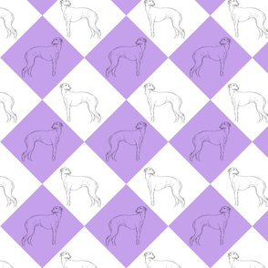Whippet diamonds - purple