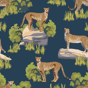 Cheetahs in Wild, detailed lifelike large 35cm size in grasslands on dark indigo blue background