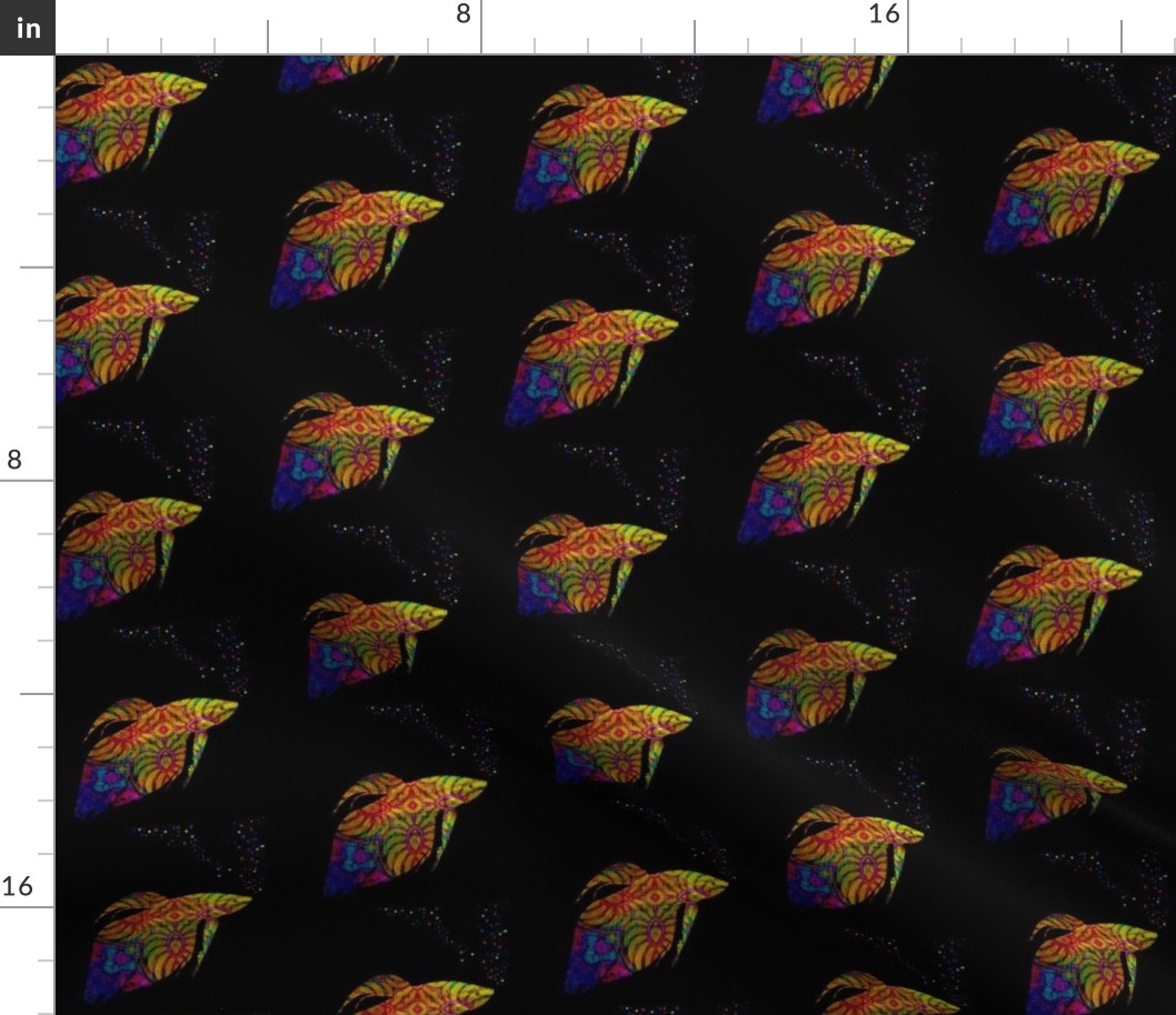 Fish School:  Phylum Chordata Rainbow