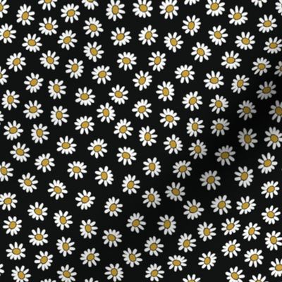 White Daisies Black