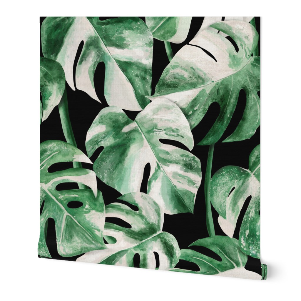 Watercolor Monstera variegata tropical leaves jumbo scale black