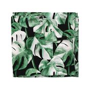 Watercolor Monstera variegata tropical leaves jumbo scale black