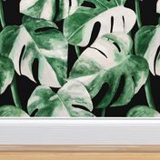 Watercolor Monstera variegata tropical leaves jumbo scale black