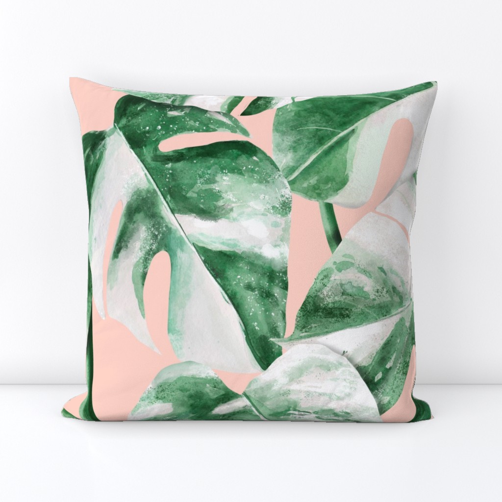 Watercolor Monstera variegata tropical leaves jumbo scale blush pink