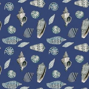 Blue seashells pattern