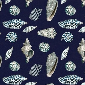 Navy blue seashells