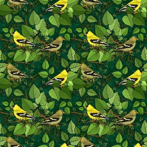 Goldfinch Forest 