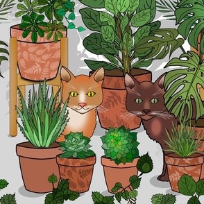 Cats in an Indoor Garden  