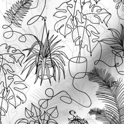 Houseplants (black and white small scale) 