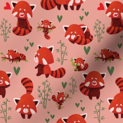 Red panda bamboo