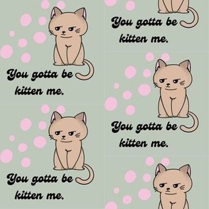 Kitten cat pun quote 