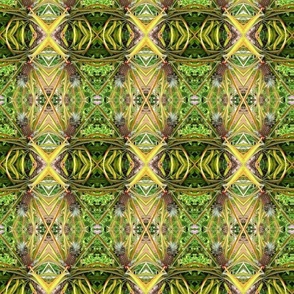 Pineapple Plant Kaleidoscope