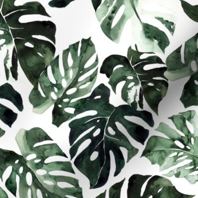 Large / Monstera Tropical Leaves