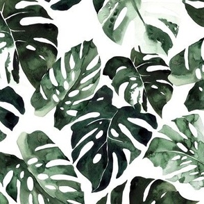 Large / Monstera Tropical Leaves