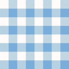 1 Inch Blue Buffalo Check | Cute Light Blue and White Checked