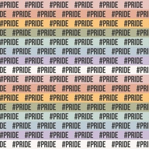 (M Scale) Boho Pride Stripes Plain Banner Text