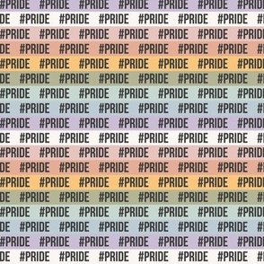 (S Scale) Boho Pride Stripes Plain Banner Text