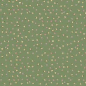 Maximalist Folk Art Floral Quilt  Collection - STARS - SAGE GREEN