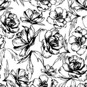 botanical pattern globe flowers