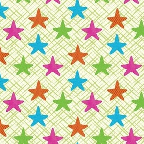 Starfish Colorful