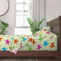 Starfish Colorful - Large Scale