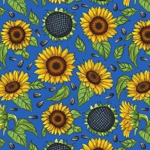 Ukraine Sunflowers On Blue Sky