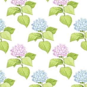 Hydrangeas Pink & Blue