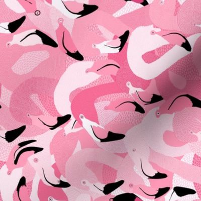 Flamingoes in Pink - RAILROAD