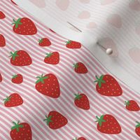 Strawberry field summer garden and vertical Breton stripes red green on pink white