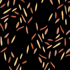 Petals- orange and yellow with black background