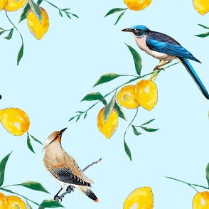 Summer, citrus ,vintage birds,lemon fruit pattern 1
